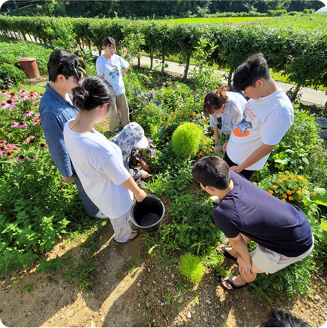 지역살아보기 이미지